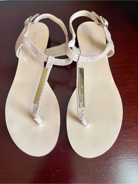 Calvin Klein T-Strap Sandals with Gold Accent in Pale Pink
